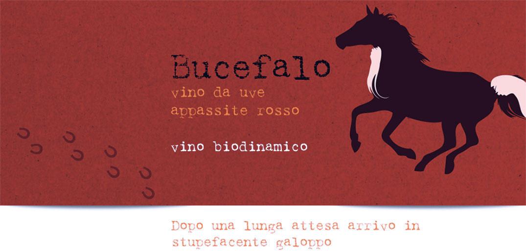 Bucefalo - Lunaria - Montepulciano d'Abruzzo da uve appassite Rosso